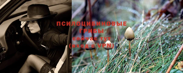 прущая мука Нефтегорск