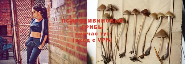 ALPHA PVP Нефтекумск